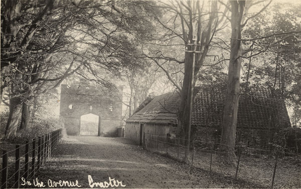 The Avenue, C1913